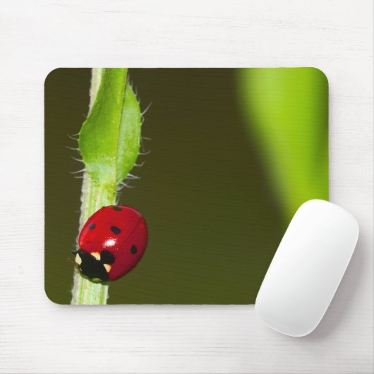 Ladykever mousepad muismat (Met muis)