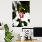 Lady's Slipper #8299 Afdruk Poster (Thuiskantoor)