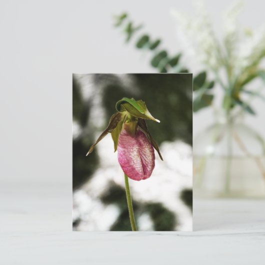 Lady's Slipper #8299 Briefkaart (Staand voorkant)