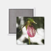 Lady's Slipper #8299 Magnet (Voorkant / Achterkant)