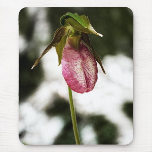 Lady's Slipper #8299 Mousepad Muismat (Voorkant)