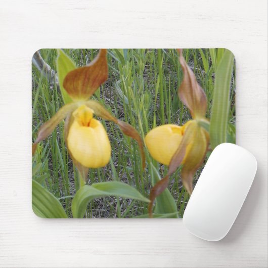 Lady's Slipper Mouspad Muismat (Met muis)