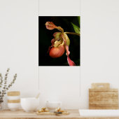 Lady's-Slipper Orchid Art Print -20x24 - of kleine (Keuken)