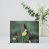 Ladys slipper Orchid (Cypripedium calceolus) Briefkaart (Staand voorkant)
