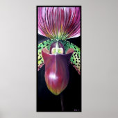 Lady's Slipper Orchid Poster (Voorkant)