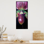Lady's Slipper Orchid Poster (Keuken)