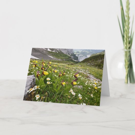 Lady's Slipper Orchids - Wenskaart Kaart (Voorkant)