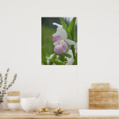 Ladyslipper in de regen poster (Keuken)