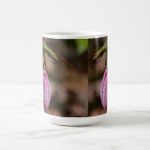 Ladyslipper Mok (Center)