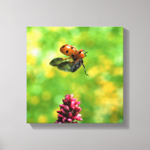 ladyvogel canvas afdruk