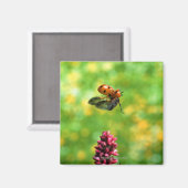 ladyvogel magneet (Voorkant / Achterkant)