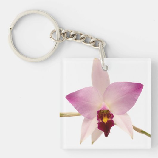 Laelia Ancep Sleutelhanger (Voorkant)