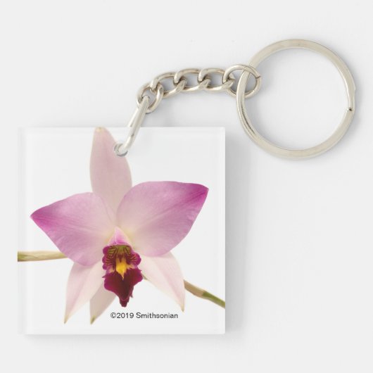 Laelia Ancep Sleutelhanger (Achterkant)