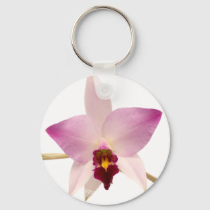 Laelia Ancep Sleutelhanger