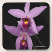Laelia Anceps Bier Onderzetter (Voorkant)
