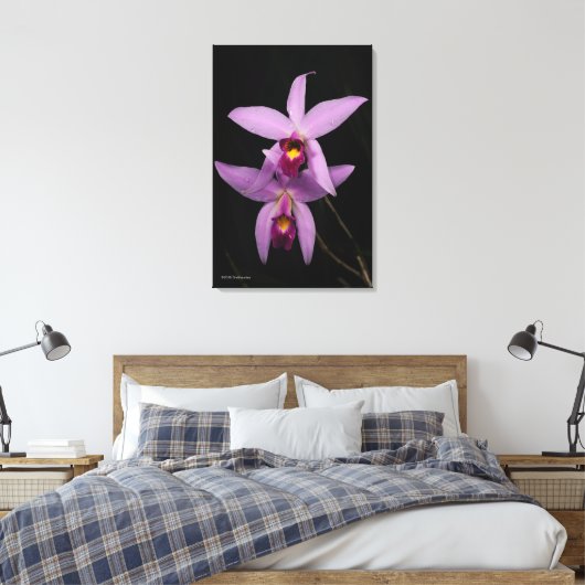 Laelia Anceps Canvas Afdruk (Insitu (Slaapkamer))