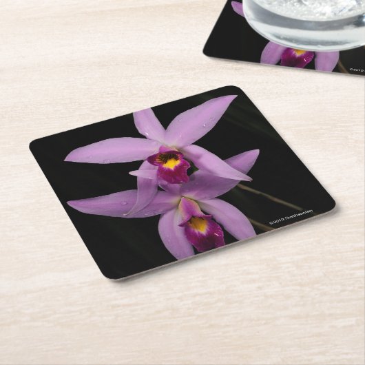 Laelia Anceps Kartonnen Onderzetters (Schuin)