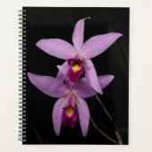 Laelia Anceps Planner (Voorkant)