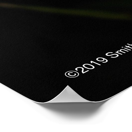 Laelia Anceps Poster (Hoek)