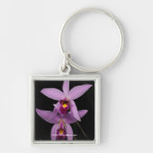 Laelia Anceps Sleutelhanger (Voorkant)
