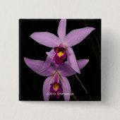 Laelia Anceps Vierkante Button 5,1 Cm (Voorkant)
