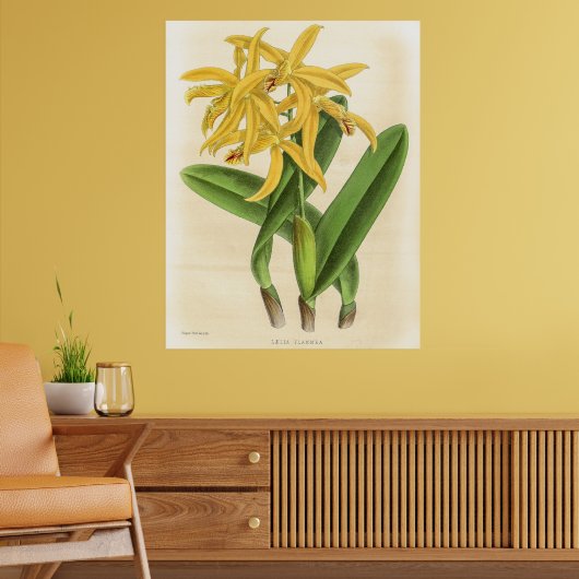 Laelia Flammea Orchidee Flower Poster (Woonkamer 2)