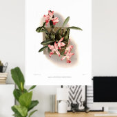 Laelia herfst xanthotropis poster (Thuiskantoor)