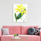 Laelia Xanthina  Geel Lindenia Orchid Canvas Afdruk (Insitu (Woonkamer))