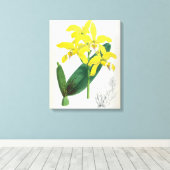 Laelia Xanthina  Geel Lindenia Orchid Canvas Afdruk (Insitu (Houten vloer))