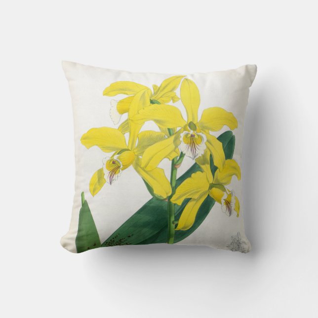 Laelia Xanthina  Geel Lindenia Orchid Kussen (Voorkant)