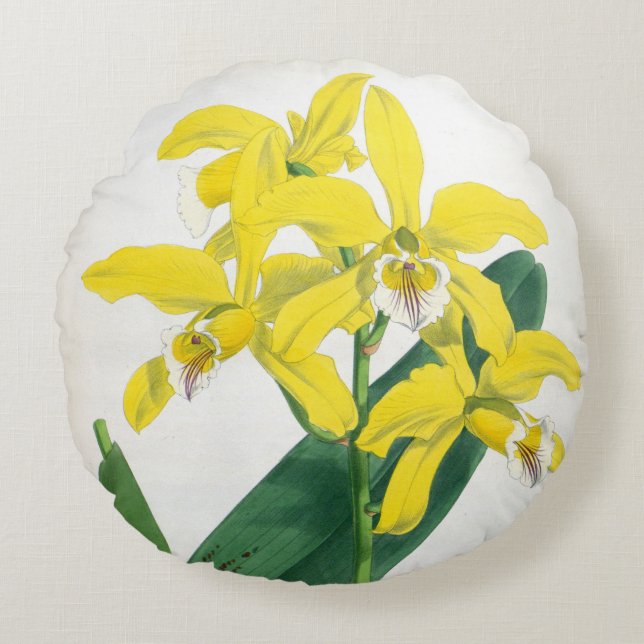 Laelia Xanthina  Geel Lindenia Orchid Rond Kussen (Voorkant)