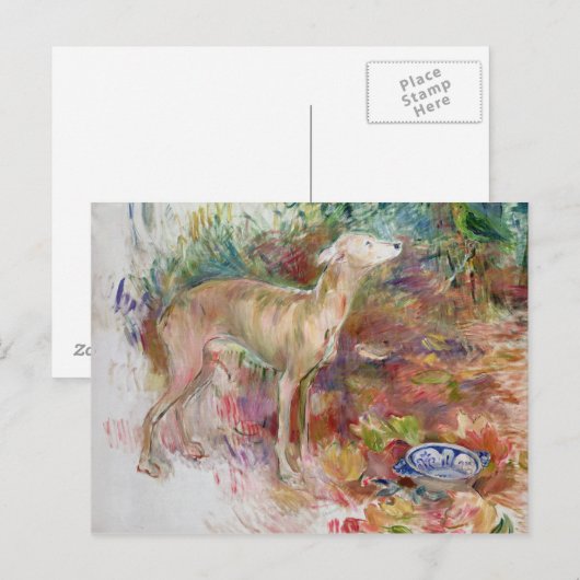 Laerte de Greyhound, 1894 Briefkaart (Voorkant / Achterkant)