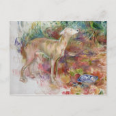 Laerte de Greyhound, 1894 Briefkaart (Voorkant)