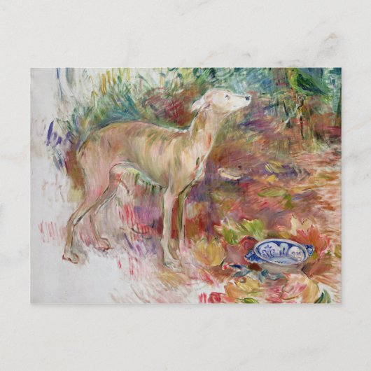 Laerte de Greyhound, 1894 Briefkaart (Voorkant)