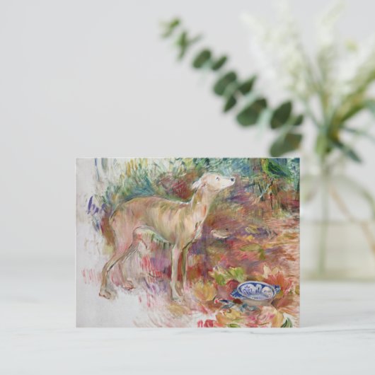 Laerte de Greyhound, 1894 Briefkaart (Staand voorkant)