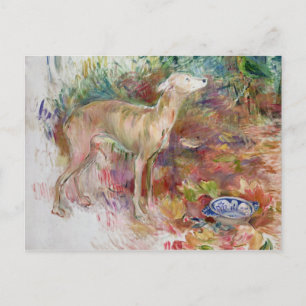 Laerte de Greyhound, 1894 Briefkaart