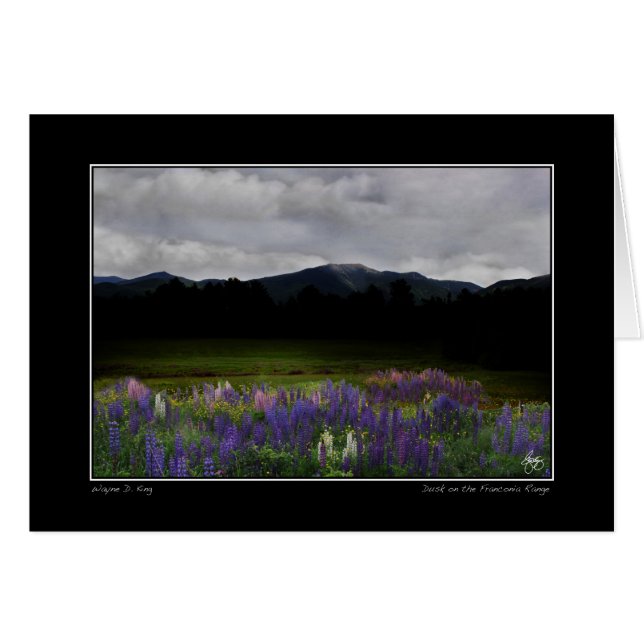 Lafayette Lupine Mindscape (Voorkant Horizontaal)