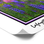 Lafayette Lupine Mindscape Poster (Hoek)