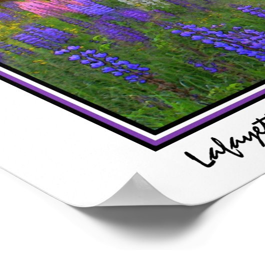 Lafayette Lupine Mindscape Poster (Hoek)