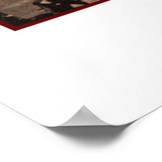 Lafayette Square  Buffalo Poster (Hoek)