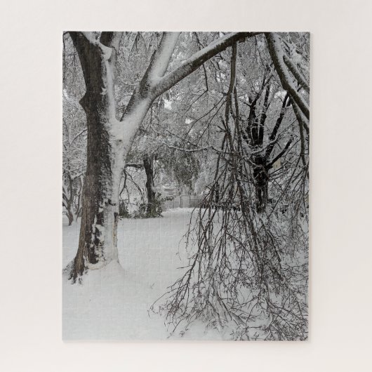 Lafayette Square, Washington, DC, winterbomen Legpuzzel (Verticaal)