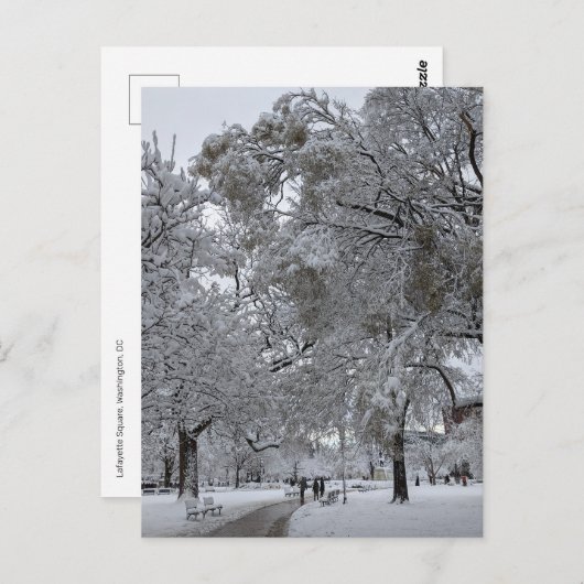 Lafayette Square, Washington, DC, winterpad Briefkaart (Voorkant / Achterkant)