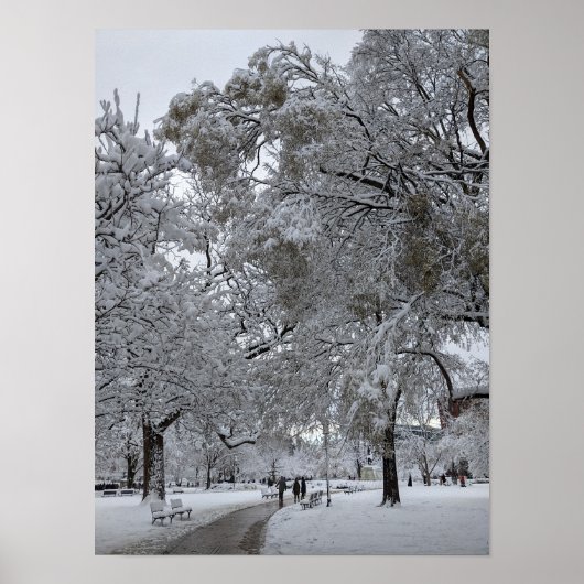Lafayette Square, Washington, DC, winterpad Poster (Voorkant)