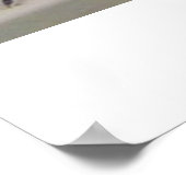 Lagarto Póster Poster (Hoek)