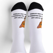 Lage energie, hoge schattigheid - de kattenfilosof