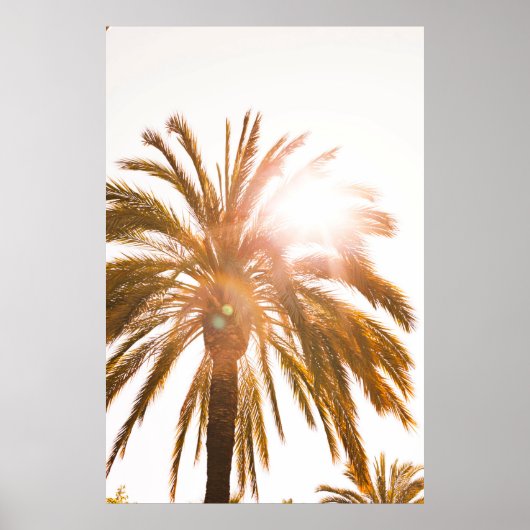 Lage hoekfotografie palmboom poster (Voorkant)
