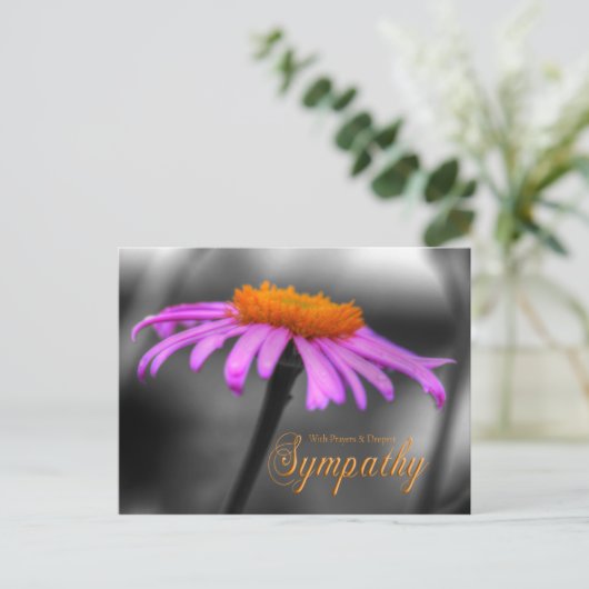 Lagen en sympathie Paarse Oranje kever Briefkaart (Staand voorkant)