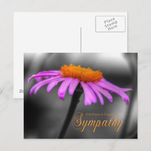 Lagen en sympathie Paarse Oranje kever Briefkaart (Voorkant / Achterkant)