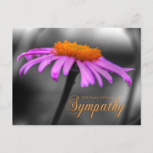 Lagen en sympathie Paarse Oranje kever Briefkaart (Voorkant)