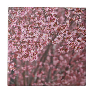 Lagen van roze Japanse Cherry Blossom Tile Tegeltje
